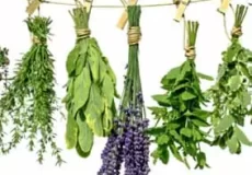 صفر تا ۱۰۰ کسب و کار فروش سبزیجات در منزل